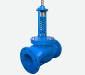 Safty Valve PN 16